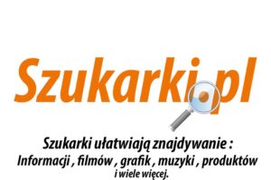 Wyszukiwarka, najpopularniejsze wyszukiwarki